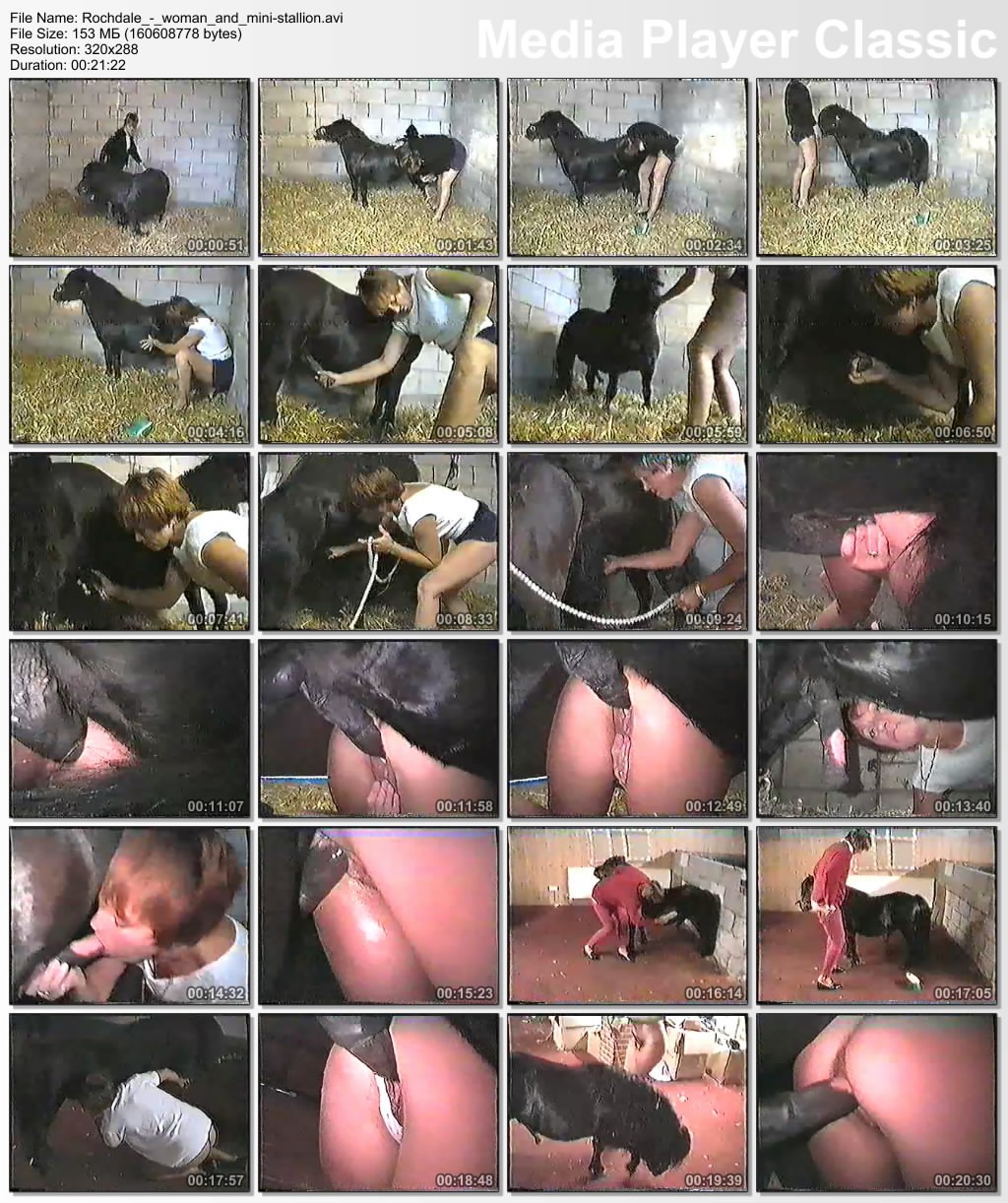 порно видео зоофилы собака трахает женщину фото 92